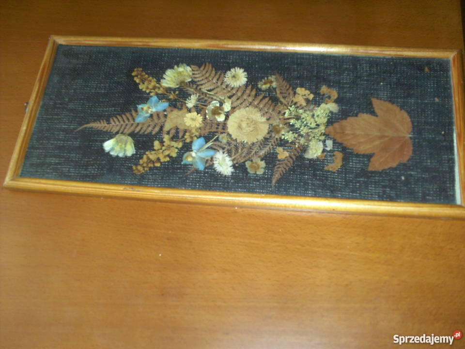 Piękny obraz z suszonych liści i kwiatów Kalety sprzedam