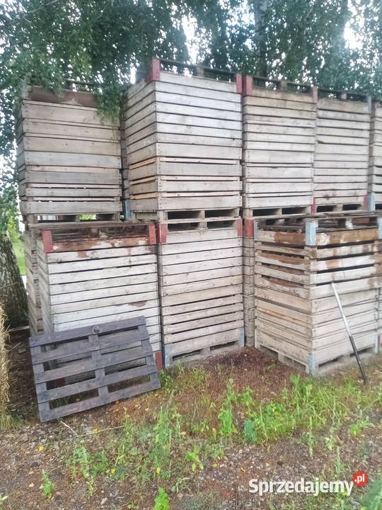 Skrzynio palety Kozienice sprzedam