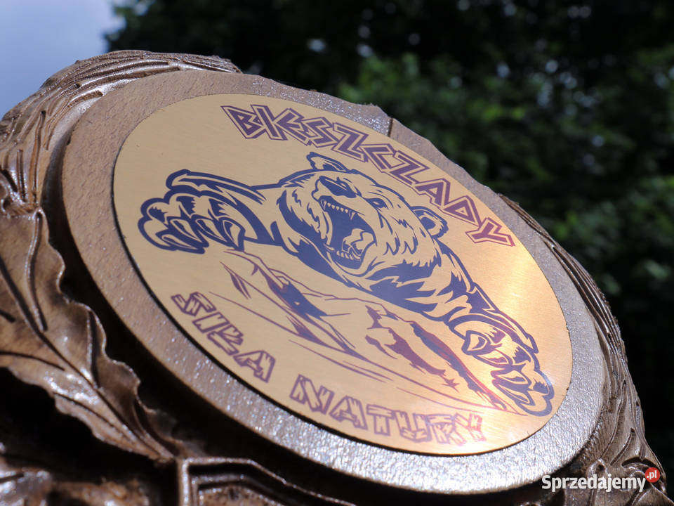 Pamiątka z Bieszczad Rzeźbiona deska Jasienica Rosielna