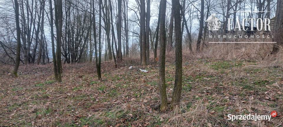 Duża działka z budynkiem gospodarczym 80 arów budowlana Sędziszowa