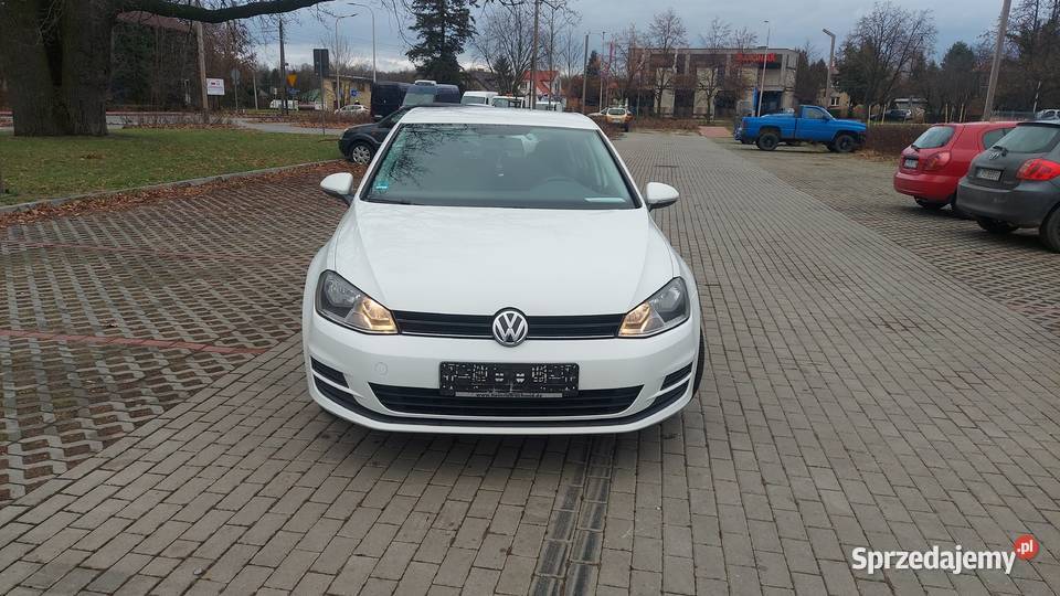 100Bezwypadkowy Tdi 110 Oryginalny lakier 1600cm3 Puławy sprzedam