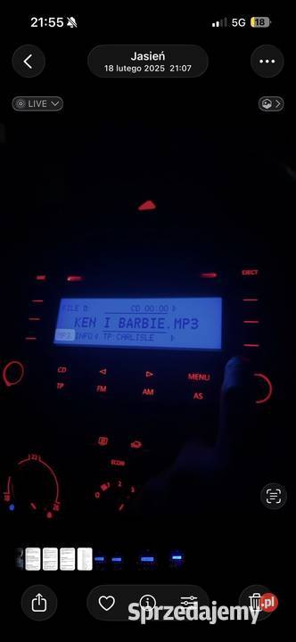 radio rcd300 lubuskie Jasień