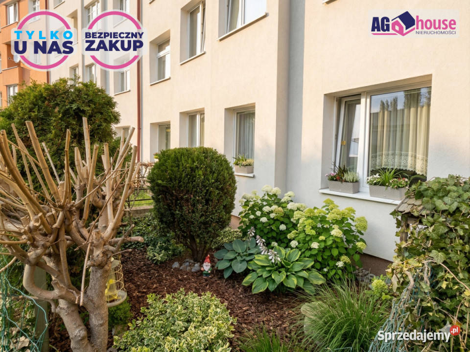 Mieszkanie Gdańsk 5513m2 pomorskie