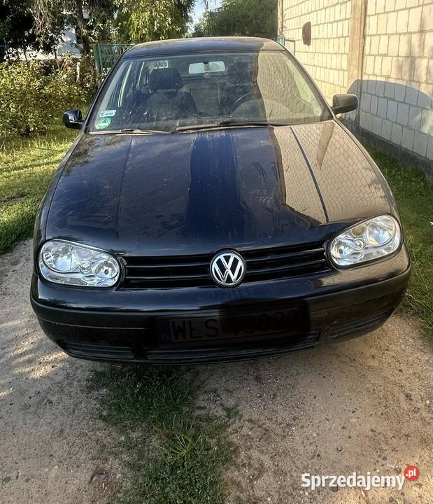 Volkswagen Golf Mężenin