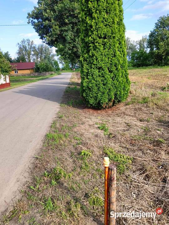 Działka rolna budowlana inwestycyjna Skowierzyn 8500m2 podkarpackie
