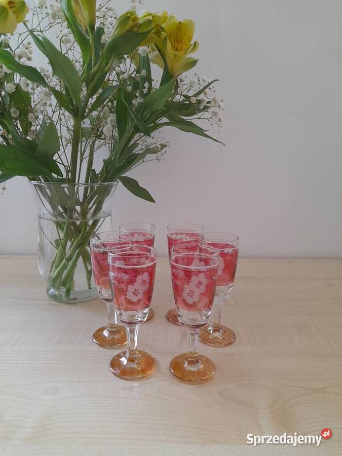 Kieliszki kryształowe Bohemia 6 z czasów PRLu dolnośląskie Bogatynia