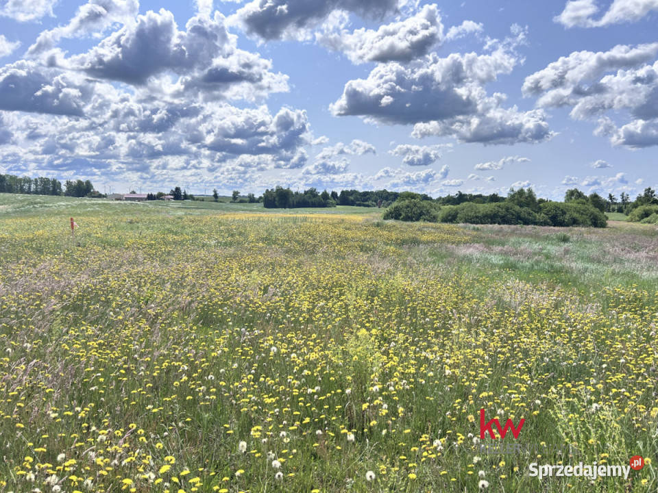 sprzedaży gruntu Kwidzyn 1509m2 Jaromierz sprzedam