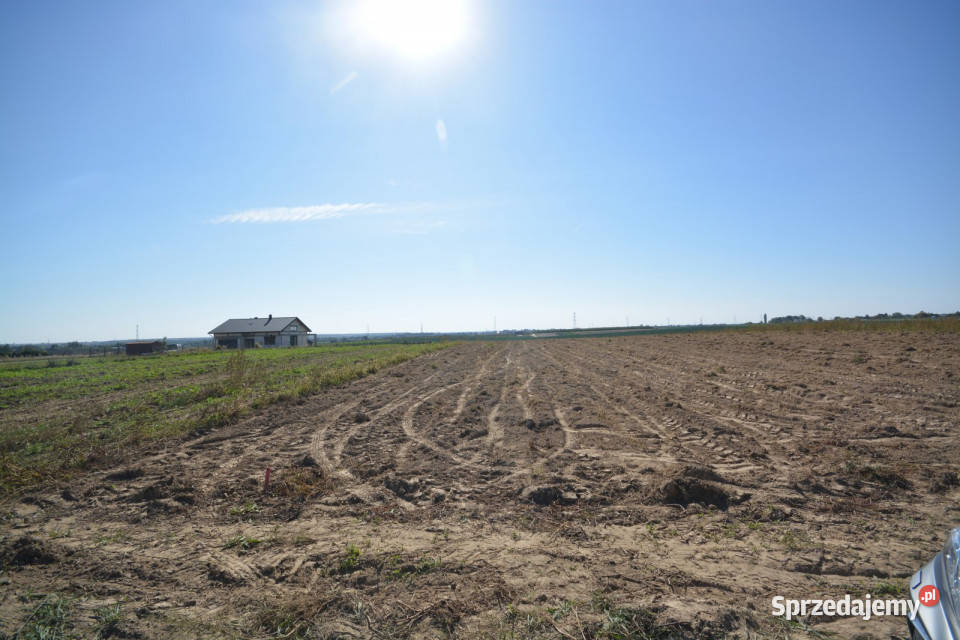 sprzedaży działki 4486m Charlęż