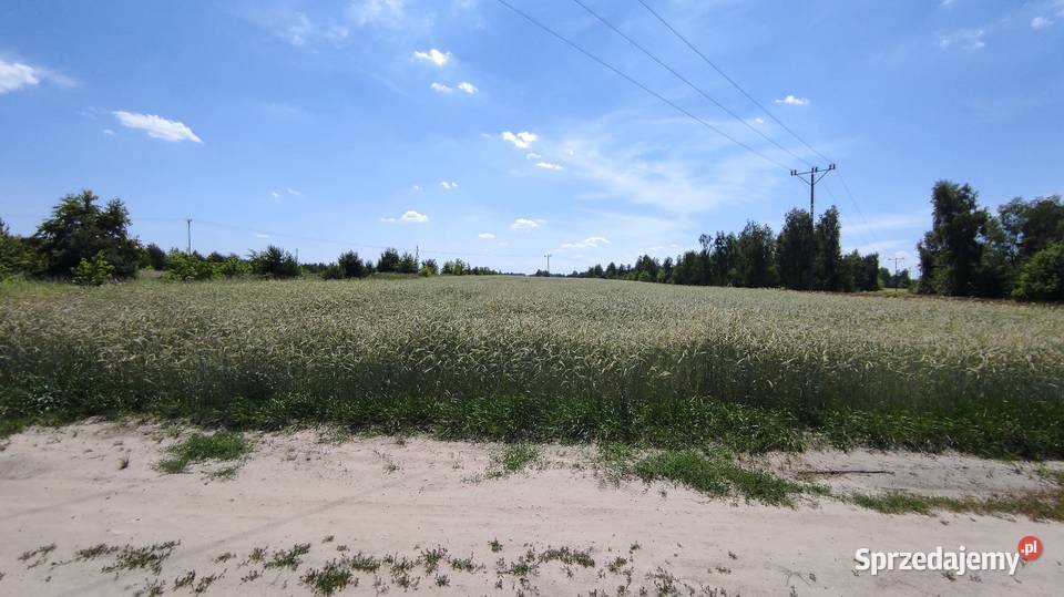 Grunty rolne ok 5 ha Sławacinek Stary gm Biała Sprzedaż Biała Podlaska