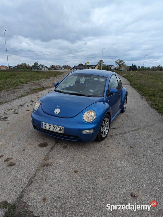 VOLKSWAGEN Beetle pomorskie Cedry Małe
