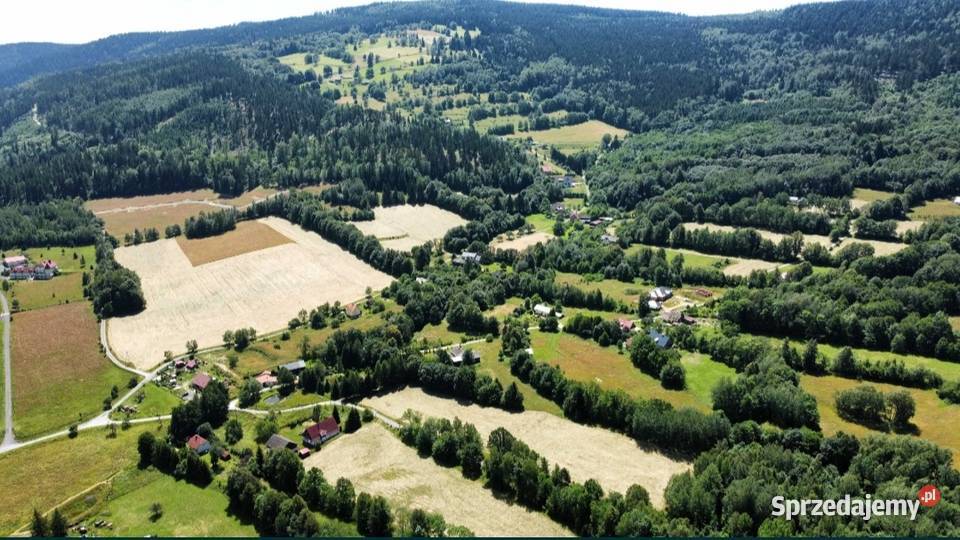działki z warunkami zabudowy Polanica Zdrój Sprzedaż