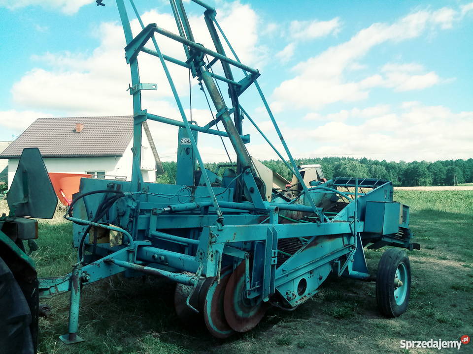 Kombajn ziemniaczany karlik Lipno