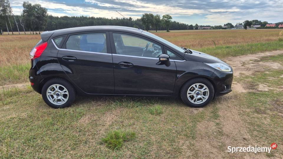 Ford Fiesta Mk7 2017 r bogata wersja Titanium Witkowo