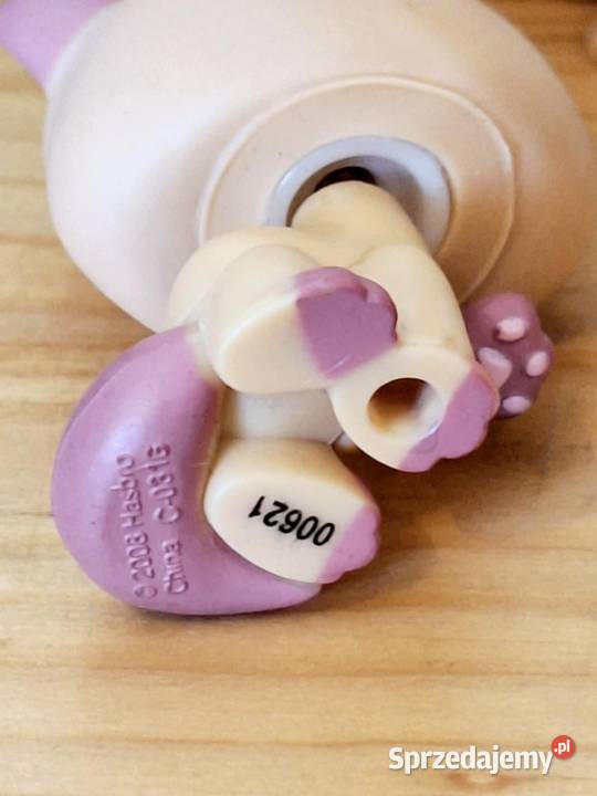 Shorthair kotek Littlest Pet Shop Braniewo