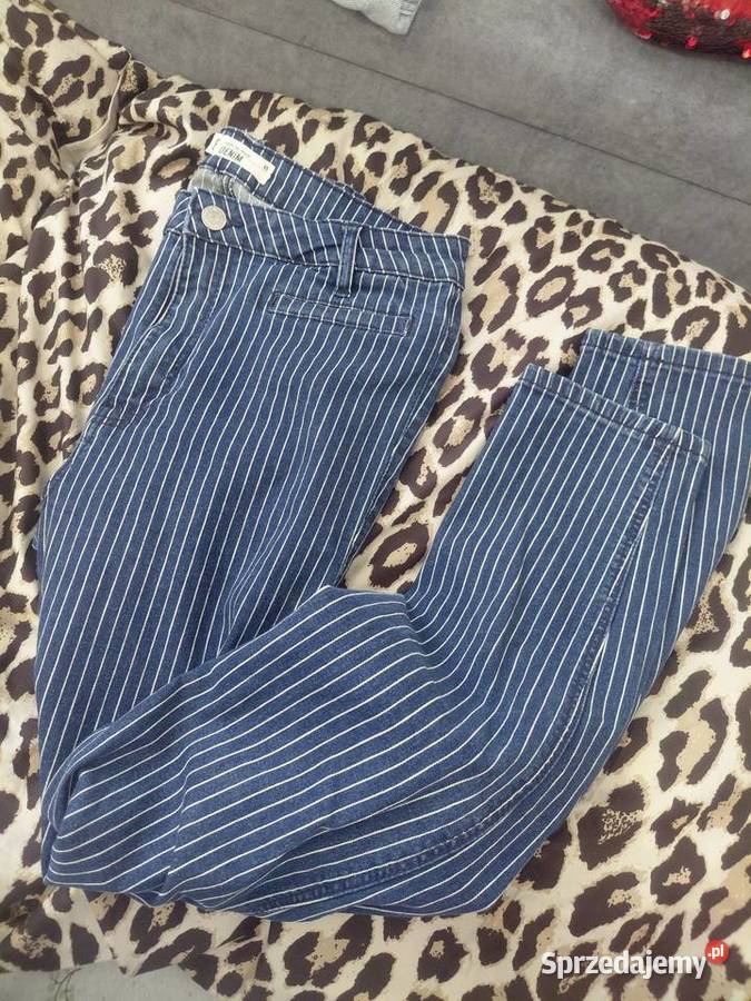 Jensy damskie kujawsko-pomorskie Bydgoszcz