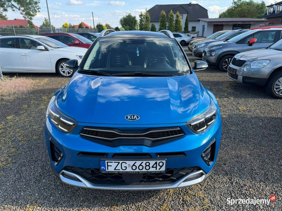 Kia Stonic automat klimatronic gwarancja bluetooth Samochody osobowe Zbąszyń