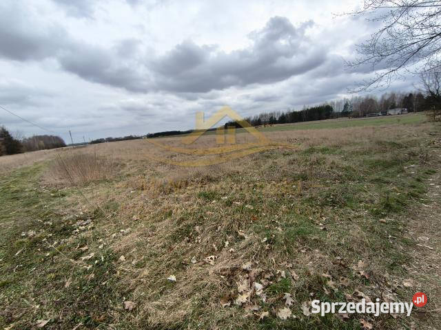 sprzedaży gruntu 1500m2 Wola Krakowiańska 1500m2 mazowieckie