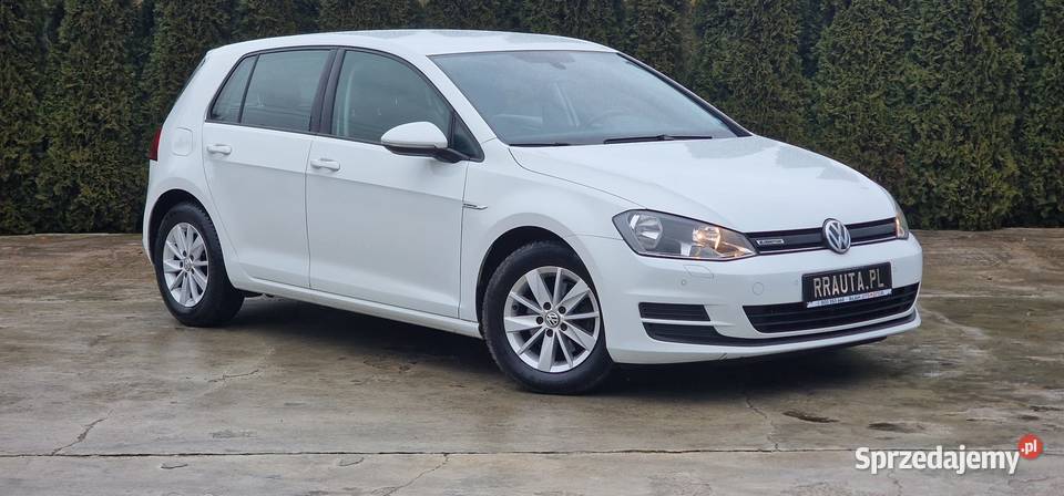 Golf VII 16 Diesel 110 1598cm3 Radom