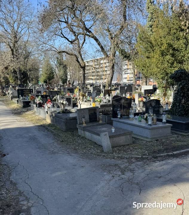 Grobowiec ziemny Cmentarz Rakowice Kraków