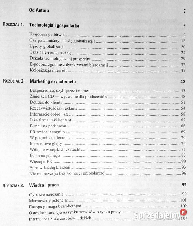 Ebiznes Nowa gospodarka Tomasz Teluk