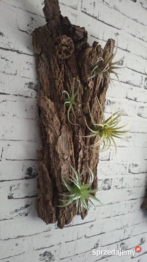 Ozdoba do akwarium terrarium usługa dla zwierząt