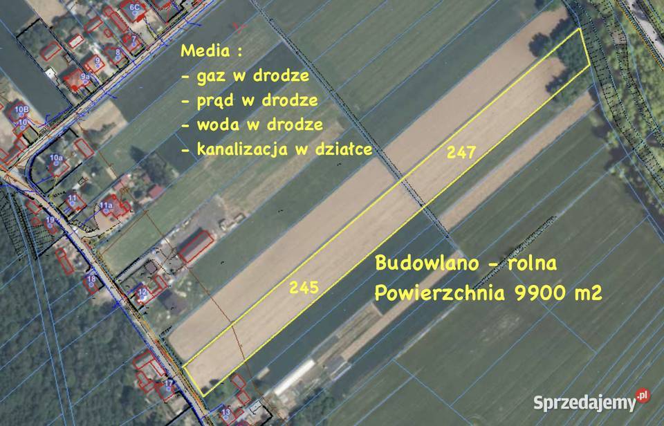 Działka Rolno Budowlana 9900 m2 Nietulisko Małe