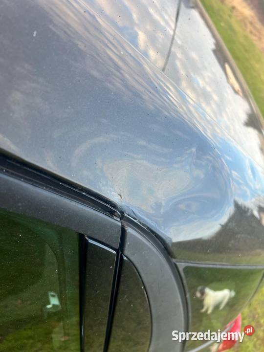 Citroen Picasso C4 16 HDI 116 Starogard Gdański