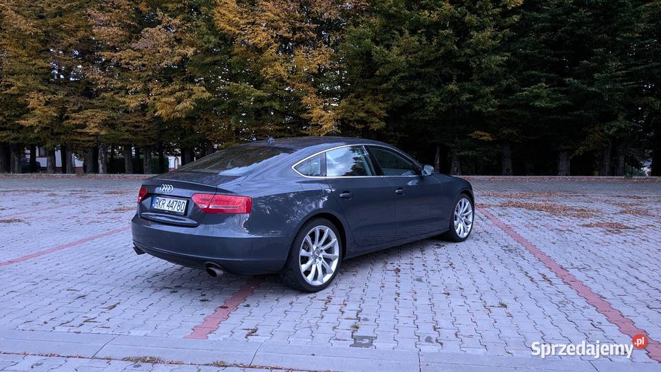 Audi A5 Sportback Audi A5 Sportback 20 TFSI elektrochrom. lusterko wst.