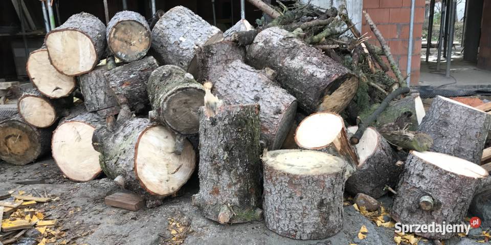 Sprzedam drewno drzewo opałowe Michałowice