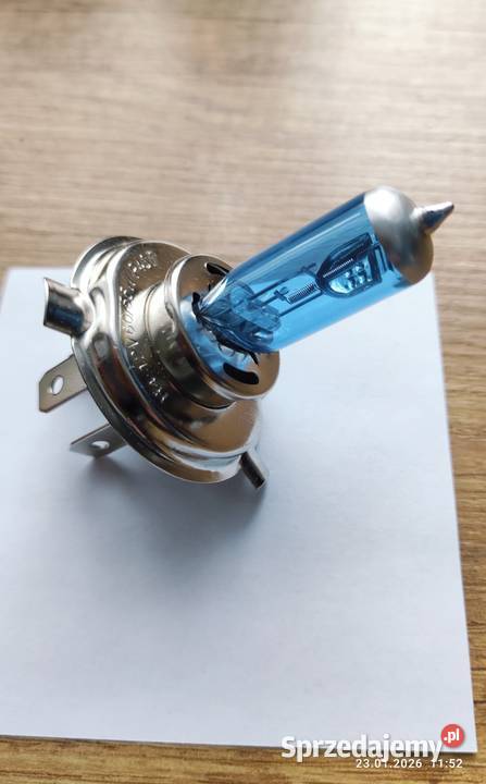 Zestaw nowych zarówek halogenowych H4 12V 6055W Radom