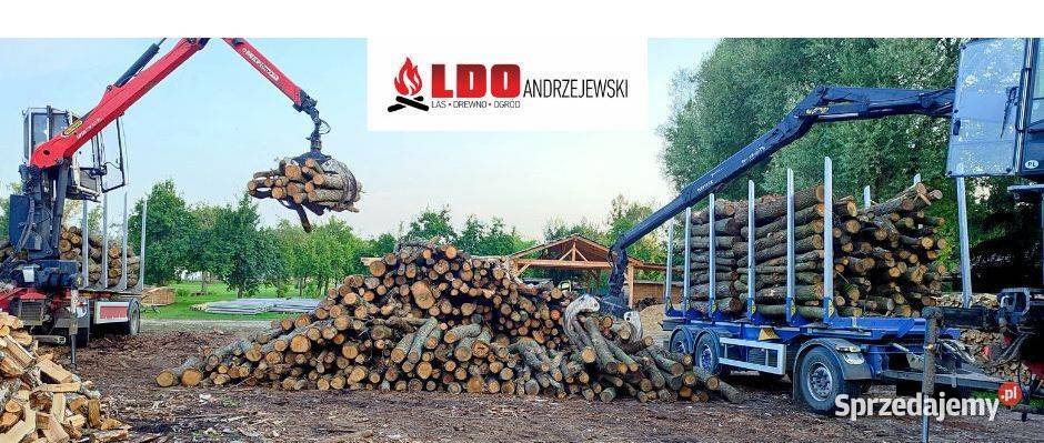 Suche Drewno Kominkowe Gniezno Dostawa LDO wielkopolskie sprzedam