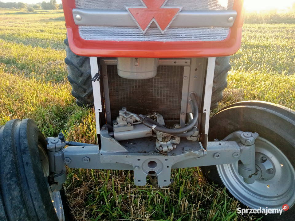 Massey Ferguson 165 silnik Perkins ad 4203 Rok produkcji 1985 Koparki Wiślica sprzedam