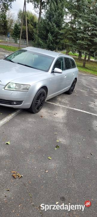Audi A6 C6 30 quattro Drużbice-Kolonia