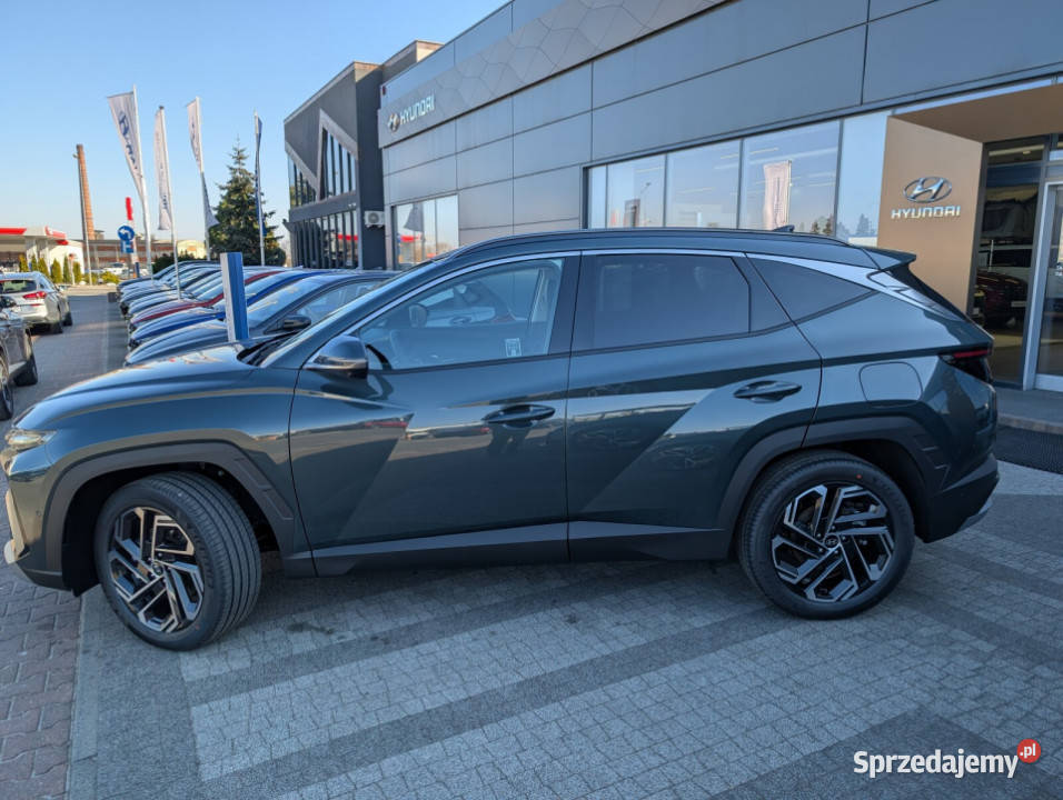 Nowej Generacji PLATINUM 16TGDI HEV 6AT 2WD 239 Kalisz