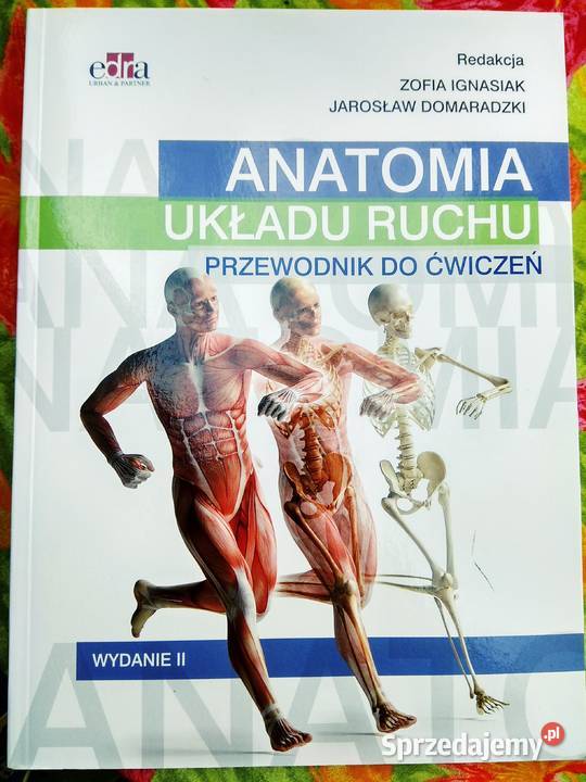 Anatomia układu ruchu Urban atlas, tablice, wzory Warszawa