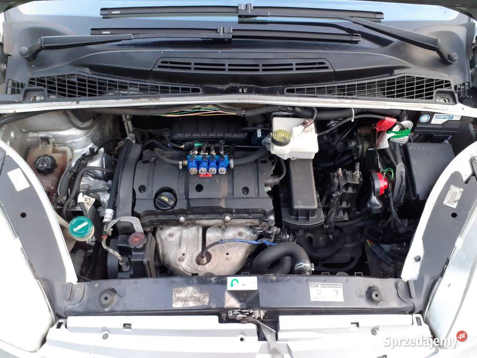 Citron Xsara Picasso 16 lpg światła przeciwmgielne