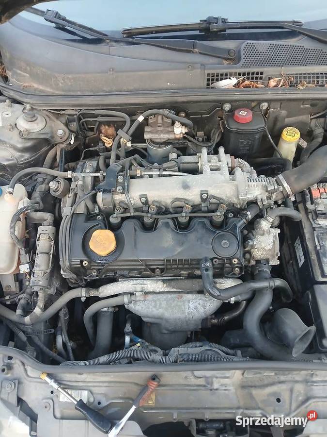 Silnik alfa romeo 19 120 Rok produkcji 2006 sprzedam