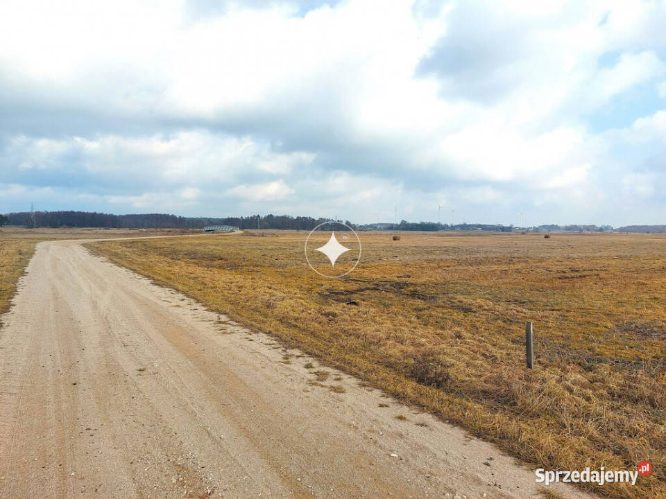 Łąka Horbów Kolonia gm Zalesie pow bialski Horbów-Kolonia