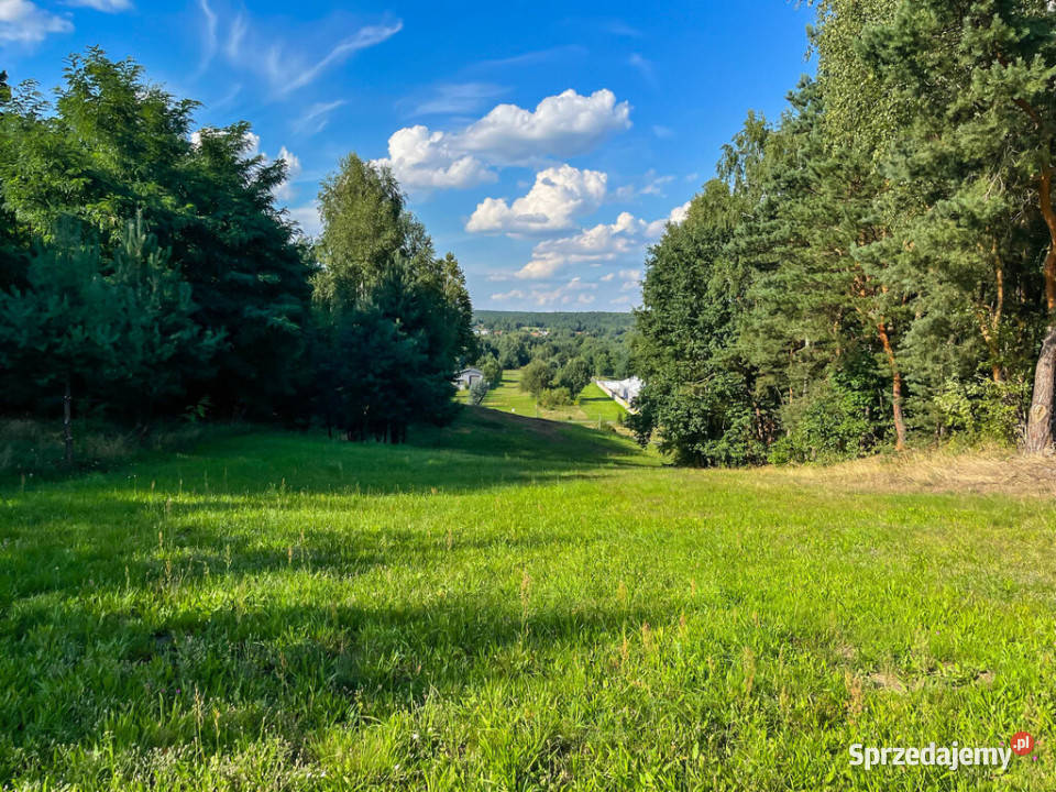 Działka budowlana 2000m2 Kuczów asfalt Sprzedaż