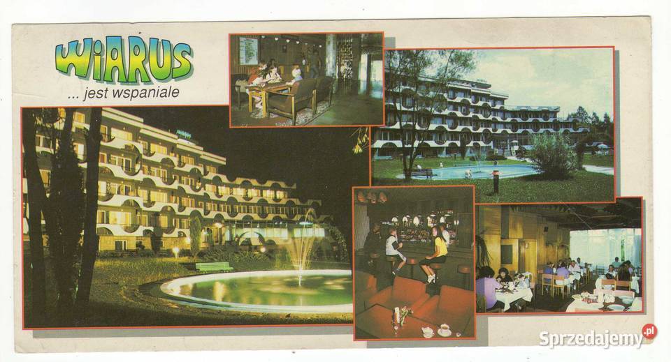 MUSZYNA ZŁOCKIE WIARUS