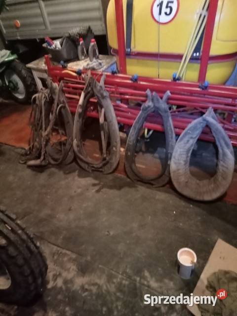 Homonta z uprzężami Rolnictwo łódzkie Strzelce Wielkie