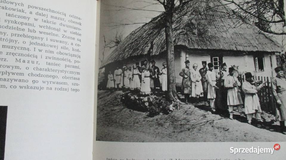 Sztuka ludowaFormy i regiony w Polsce Grabowski Łódź sprzedam