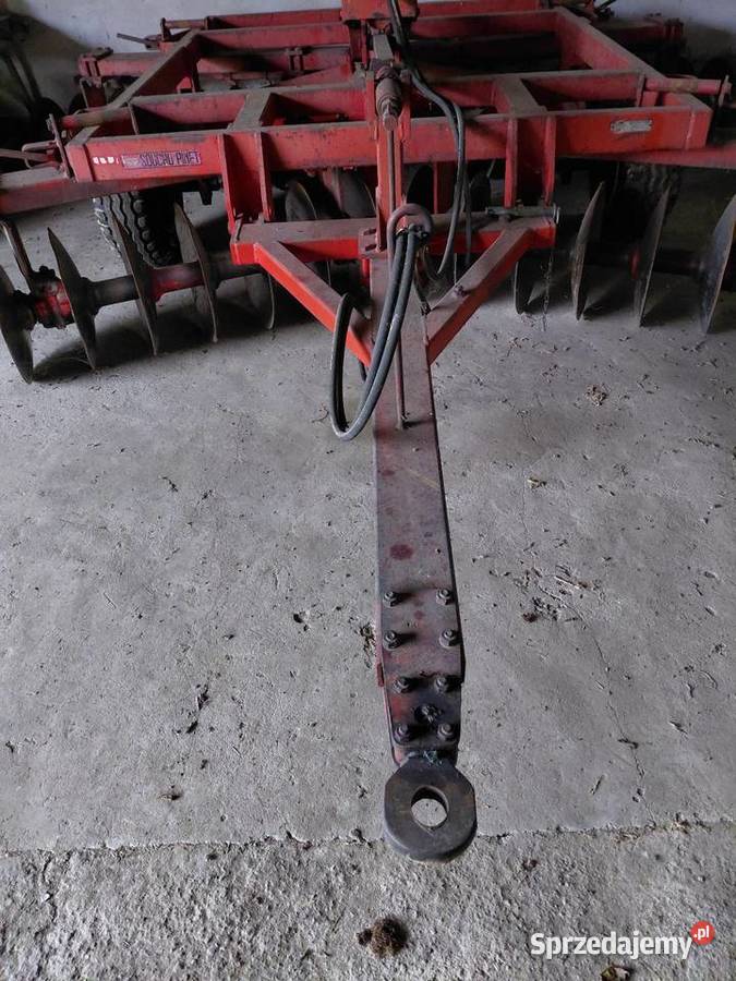 Talerzówka souchu pinet Brony Mońki