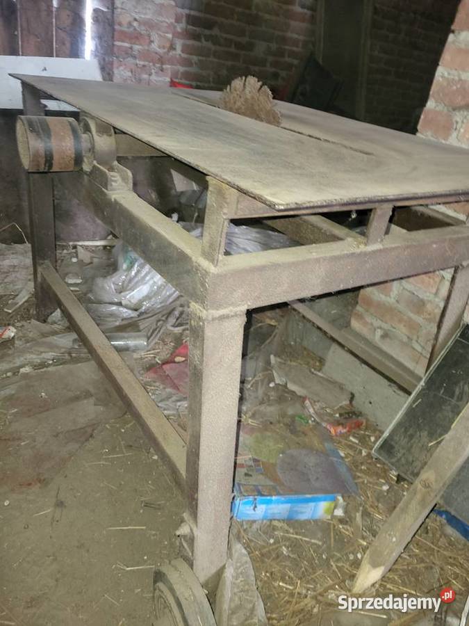 Krajzega cyrkulatka piła