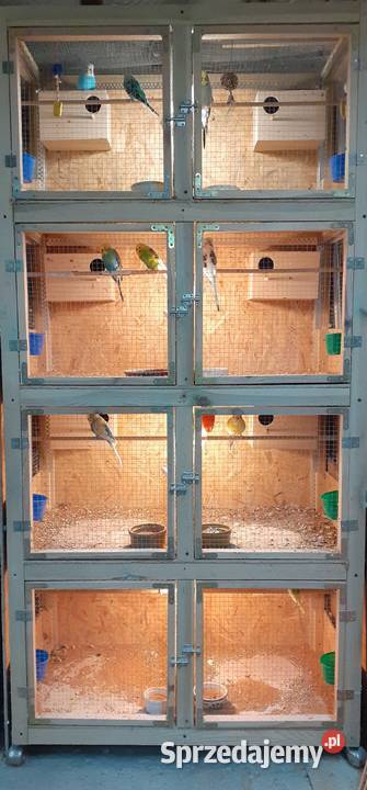 Woliera do hodowli małej egzotyki Warszawa sprzedam
