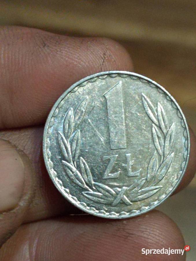 Sprzedam 1 zloty 1980 Numizmatyka Chełm