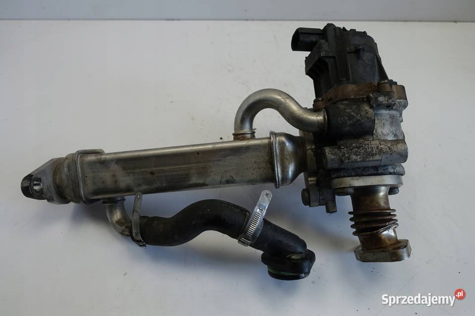 Fiat Ducato III 23 JTD CHŁODNICA SPALIN EGR org osobowe Rudka