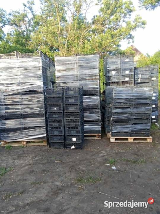 Sprzedam skrzynki plastikowe Łubowo