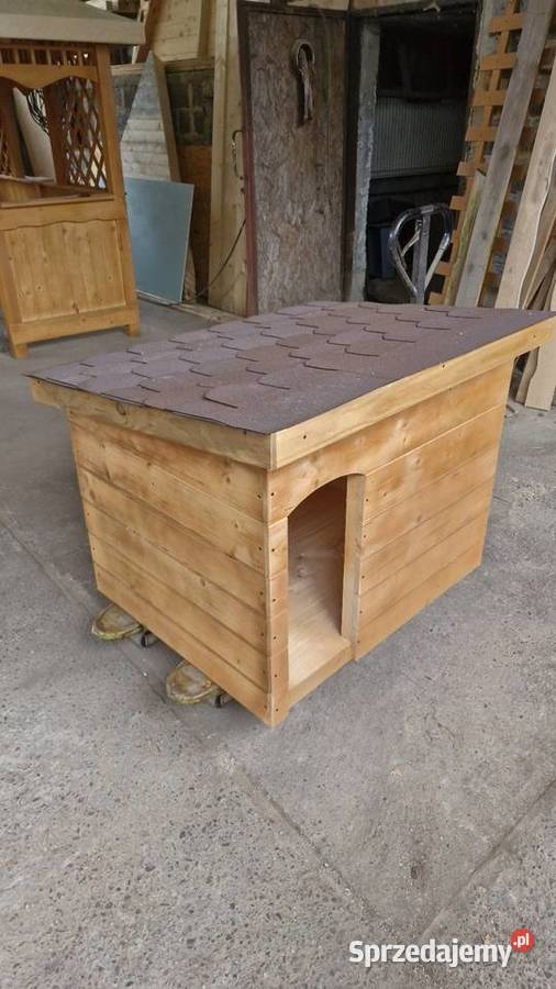 Budy pieska małe średnie I duże 602118208 sprzedam