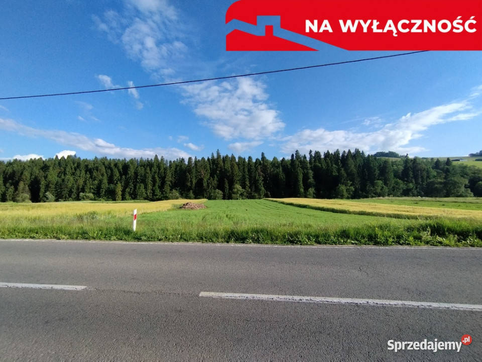 Działka strumyku Łapsze Niżne